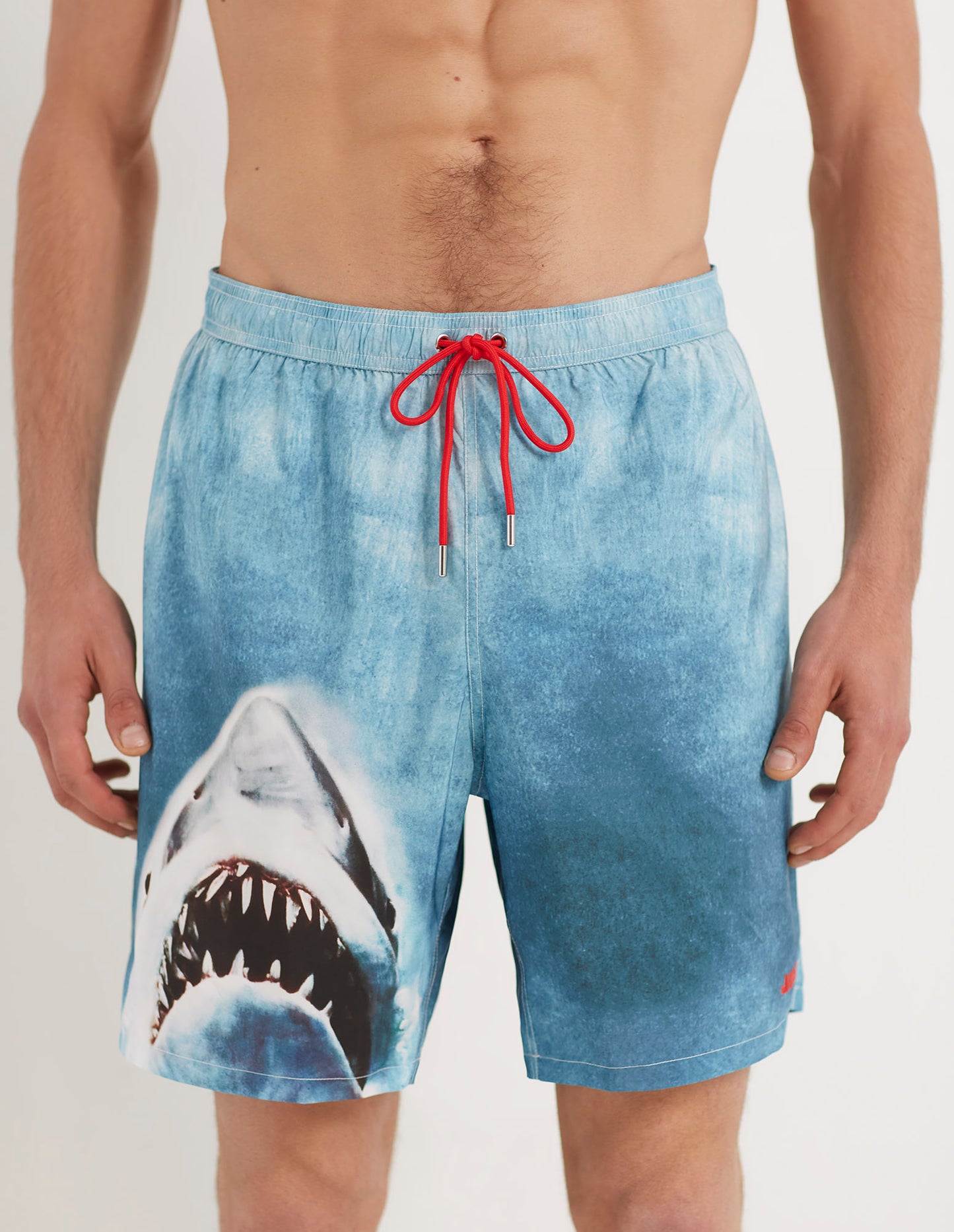 Long boardshorts - Jaws