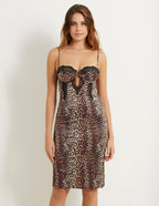 CORSETRY-Catlike Animalier