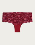 BOTTOMS-Primula color