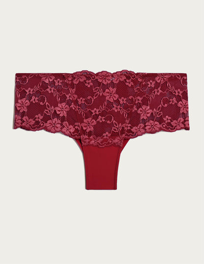 BOTTOMS-Primula color