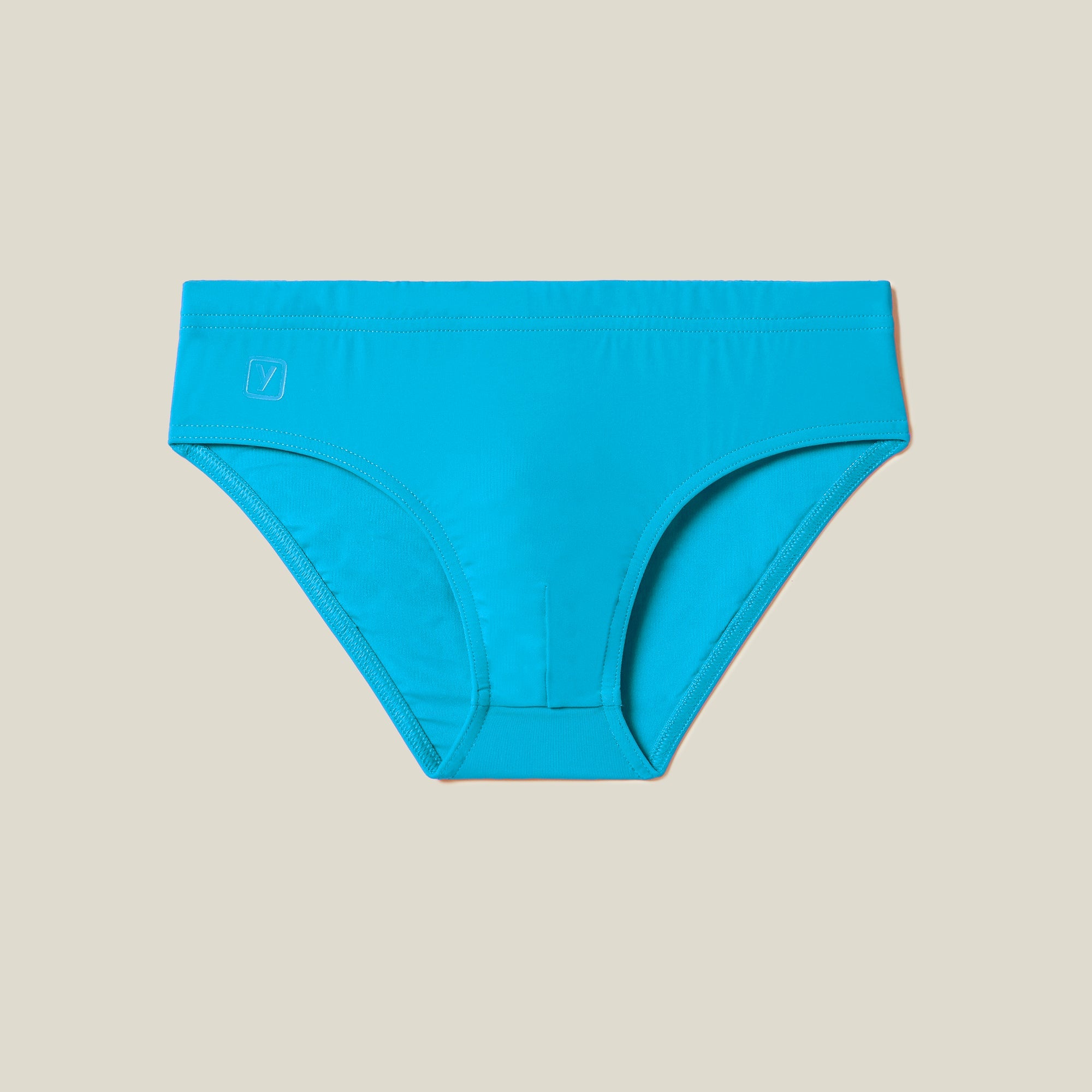 BRIEFS