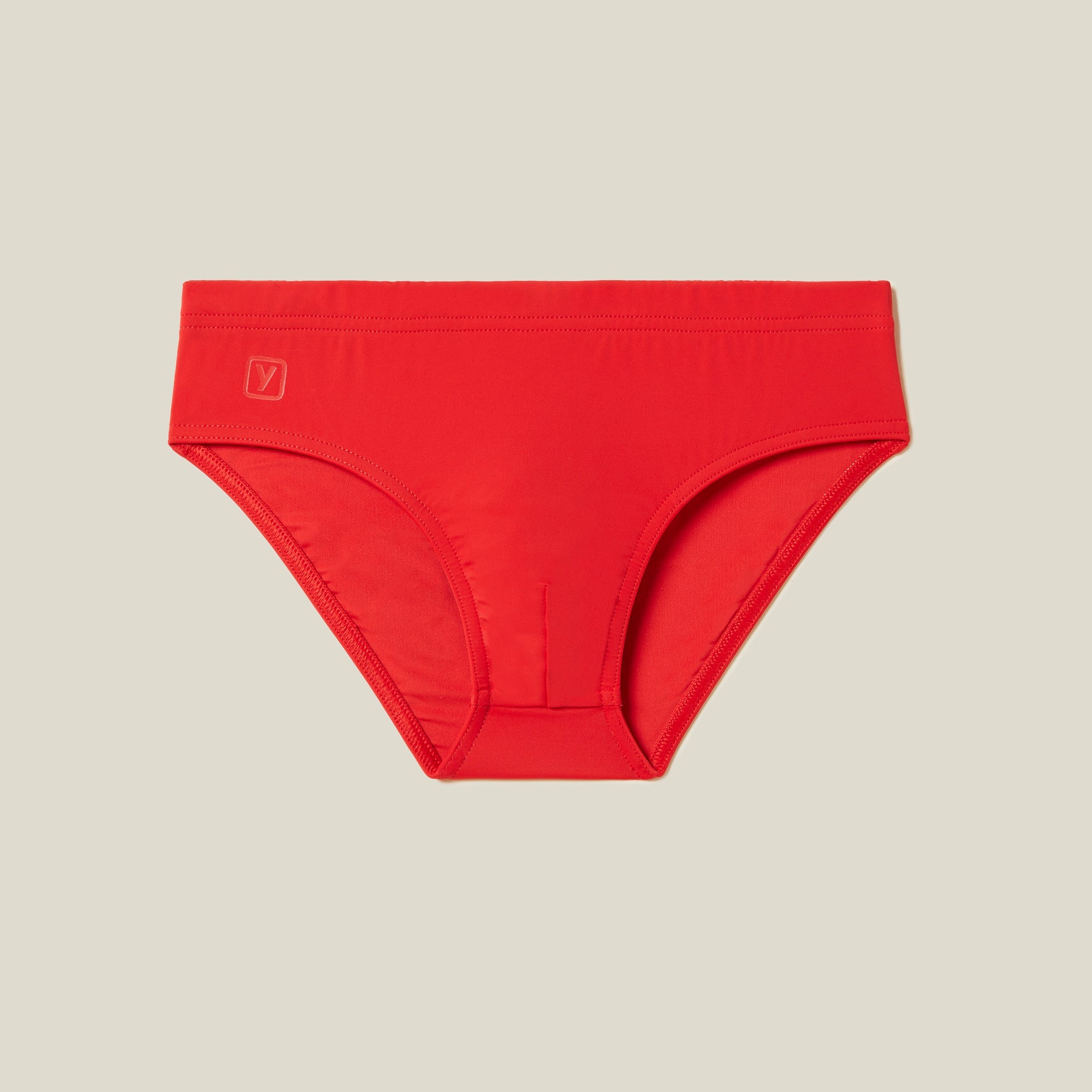 BRIEFS