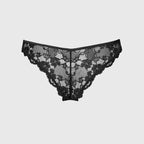 Brazilian briefs - PRIMULA