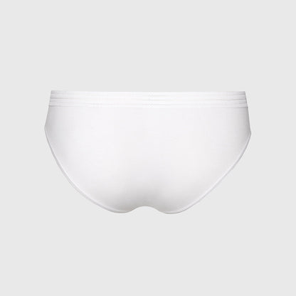 Briefs