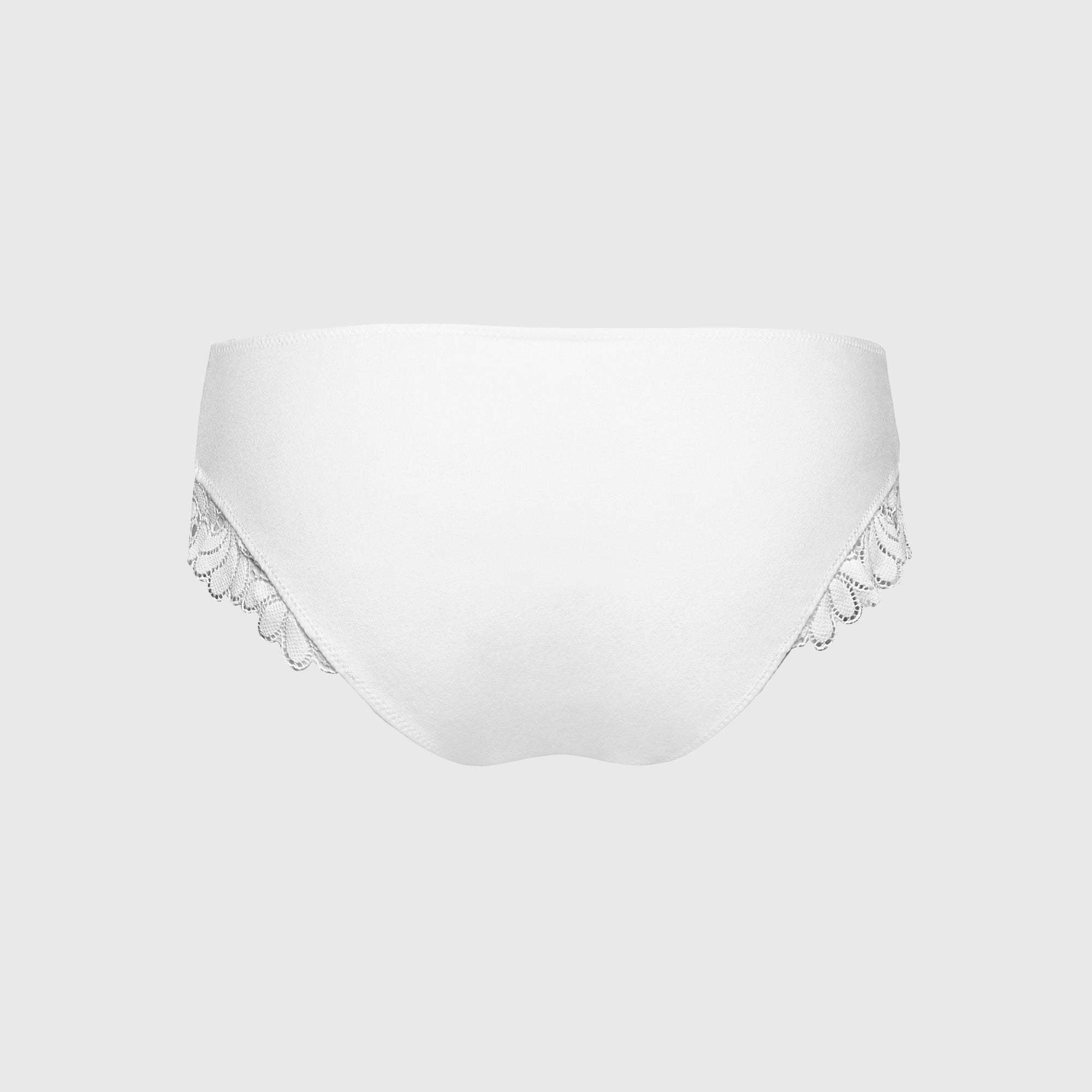 Briefs