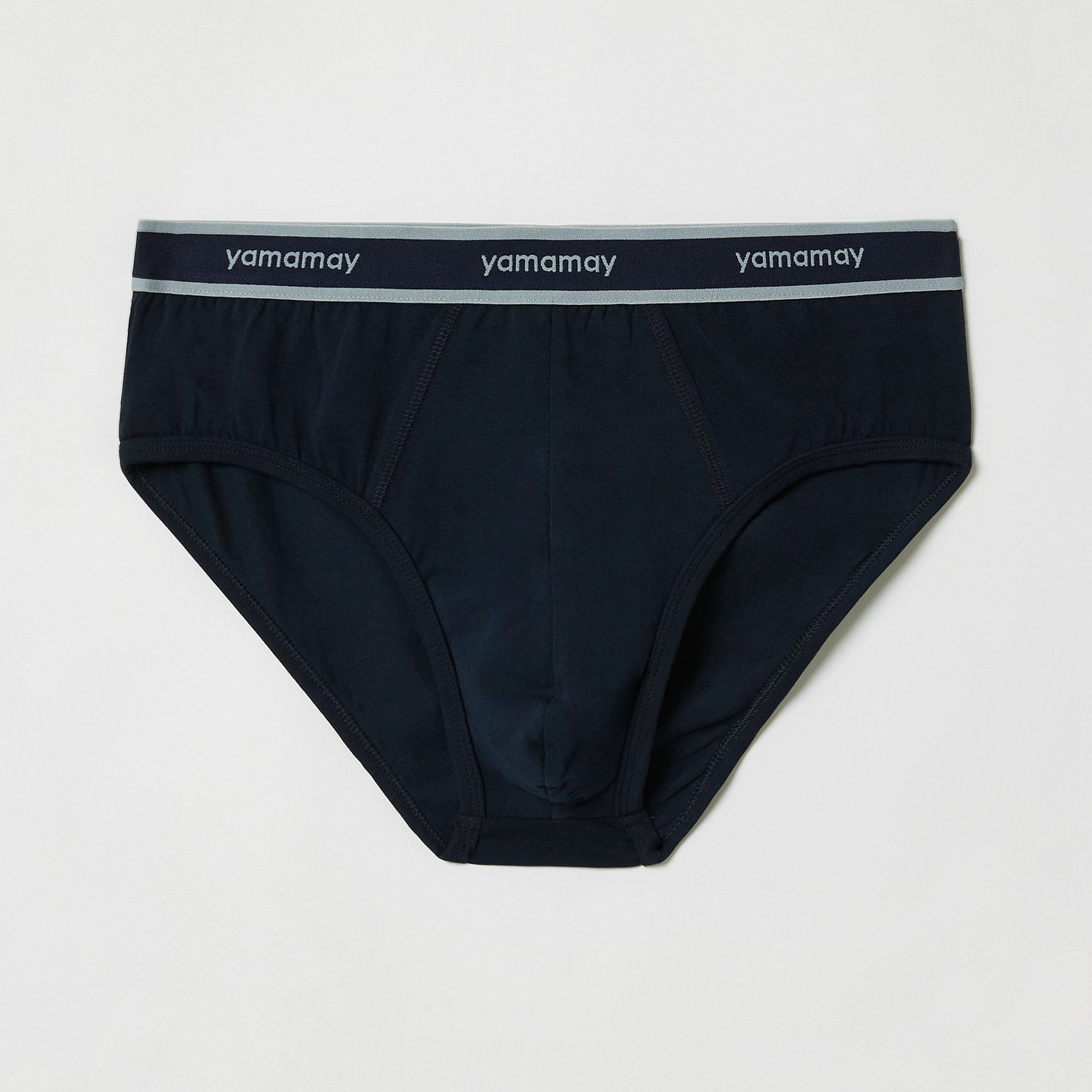 Briefs