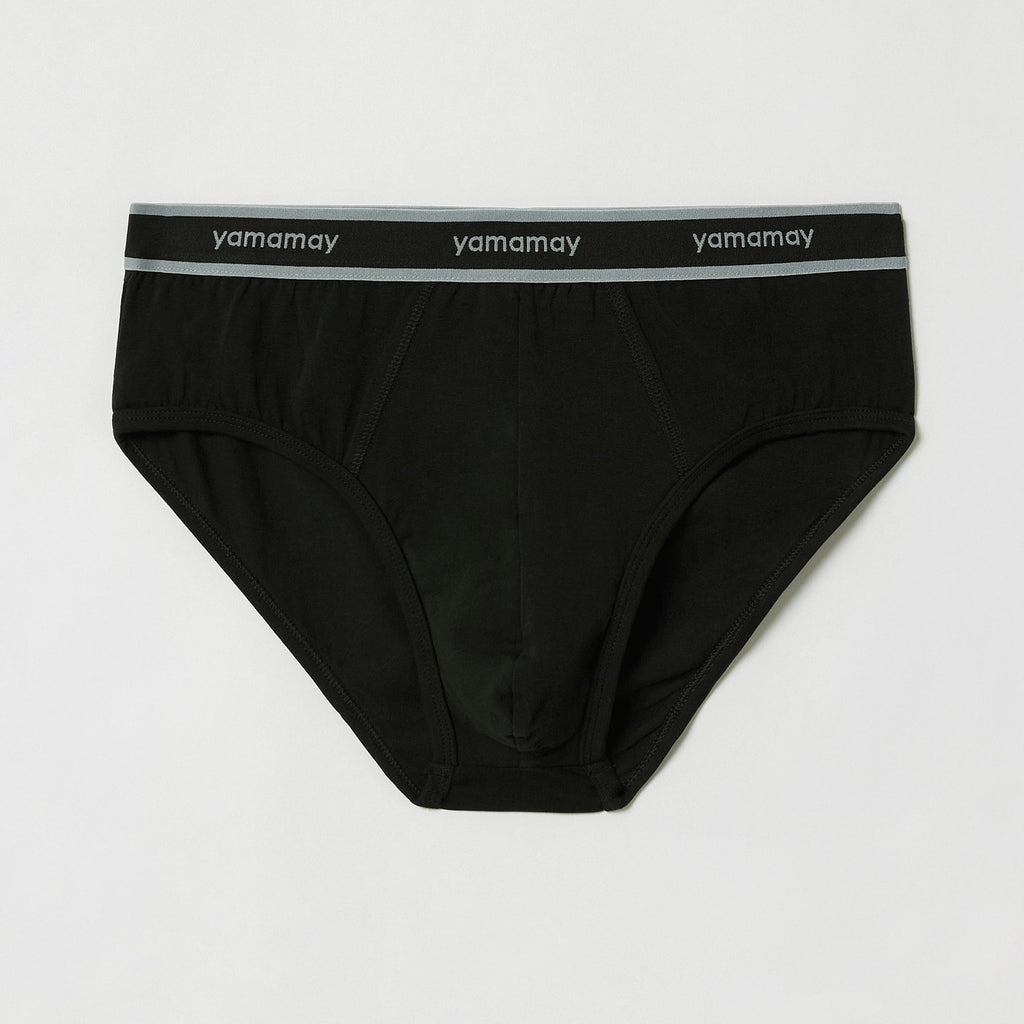 Briefs