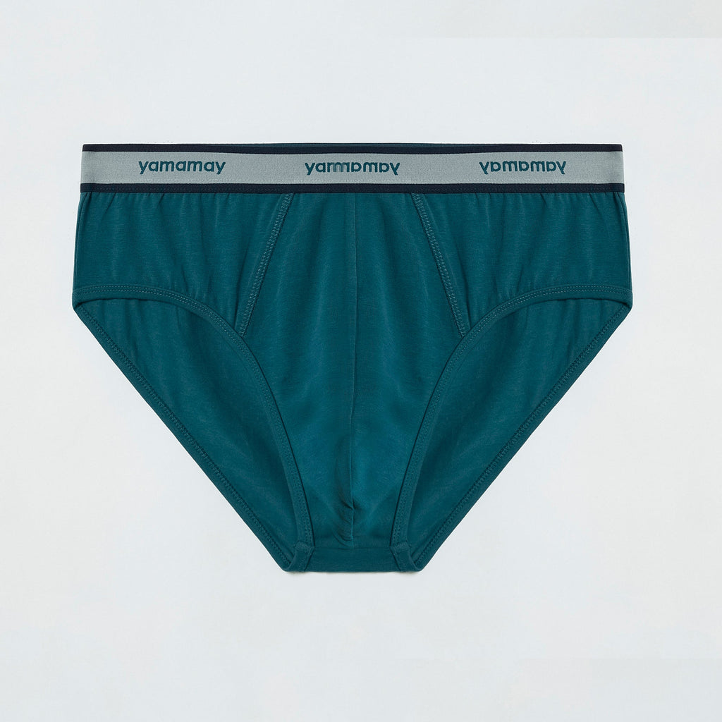 Briefs