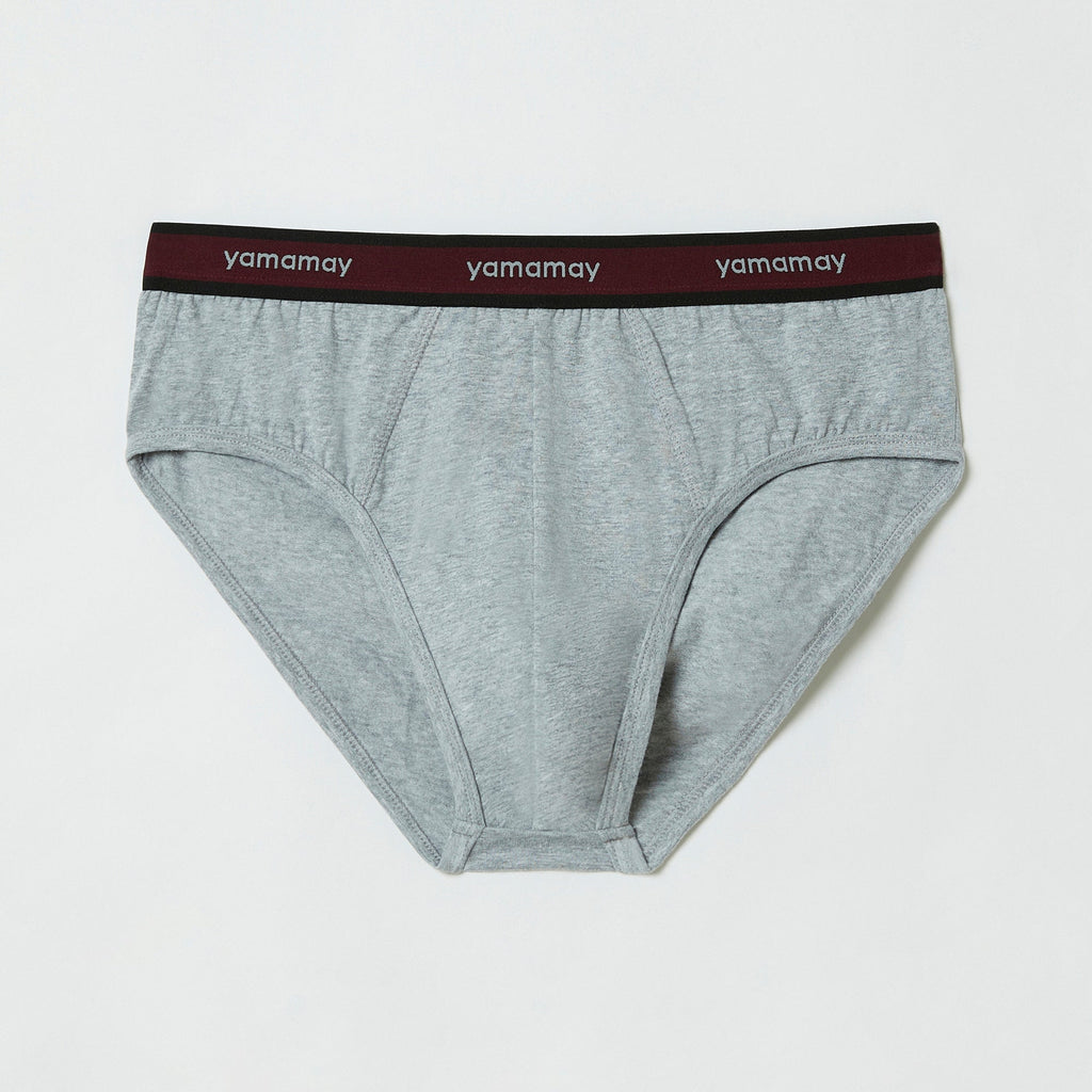 Briefs