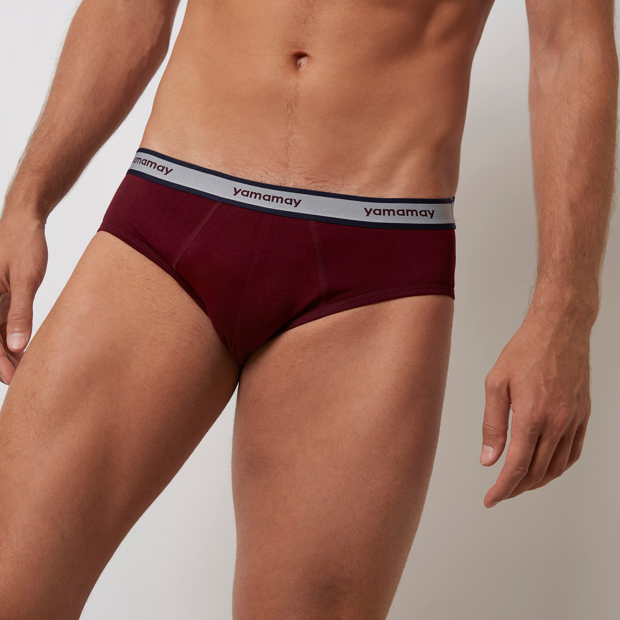 Briefs