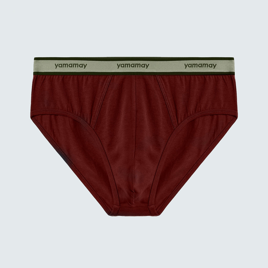 Briefs