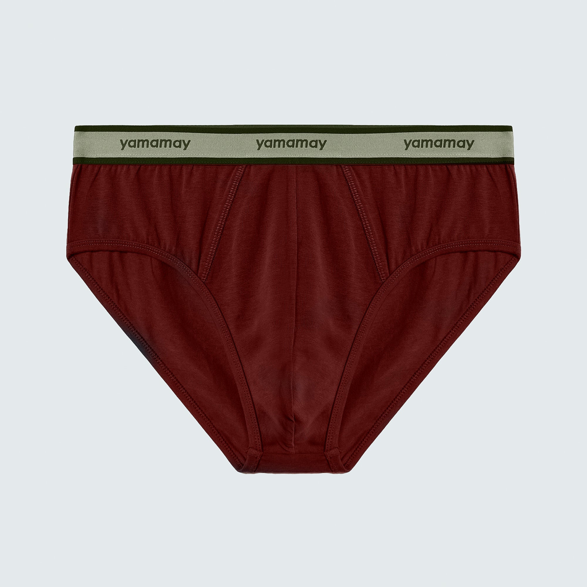 Briefs