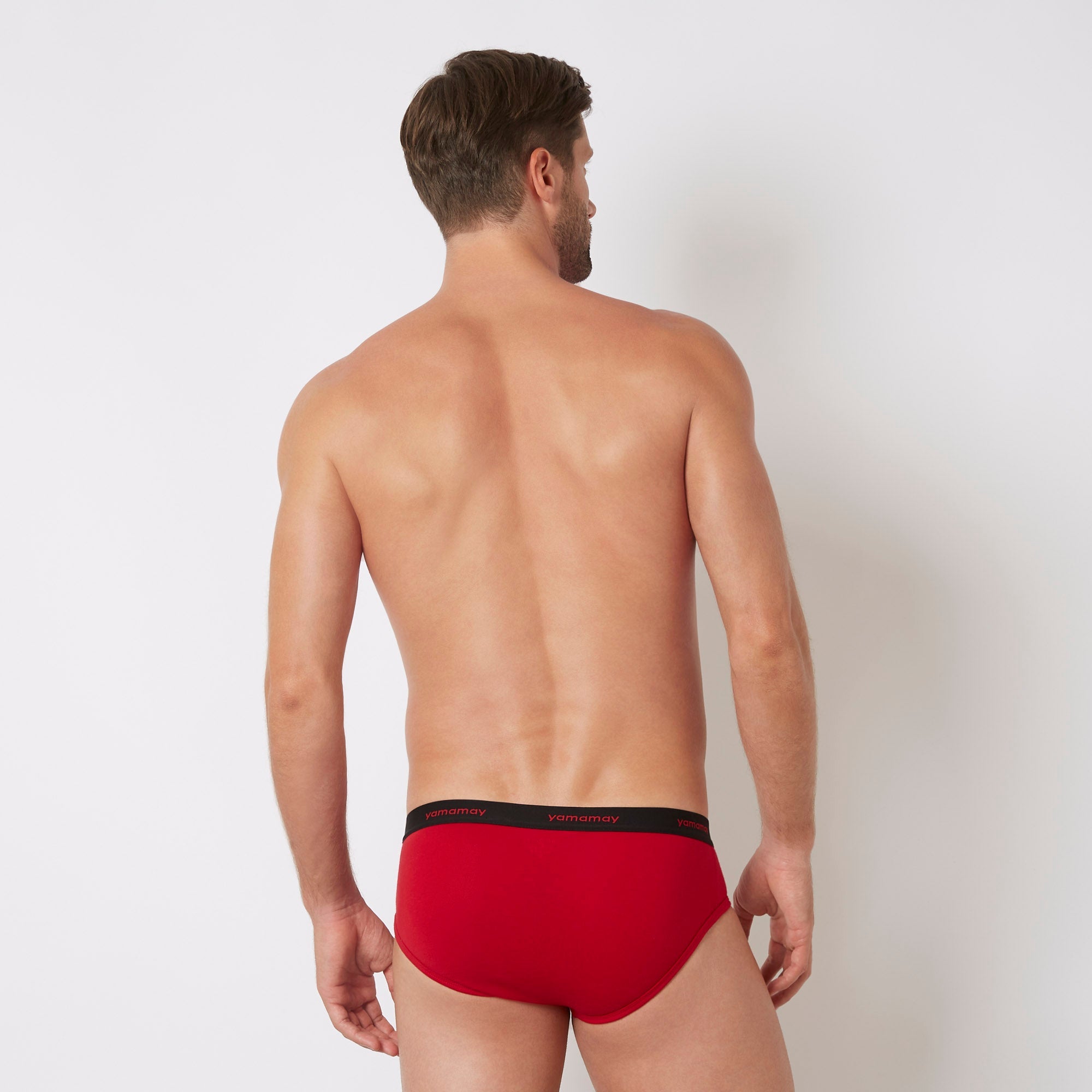 Briefs