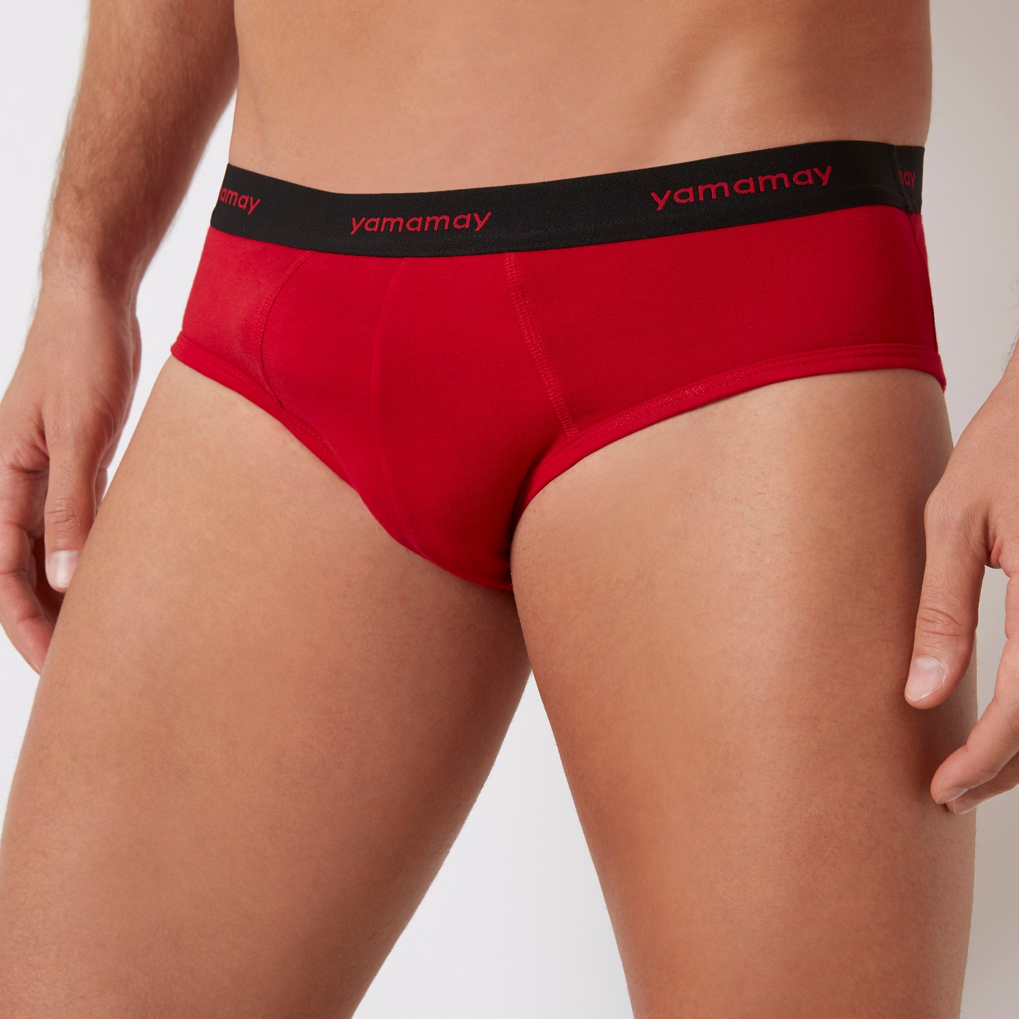 Briefs
