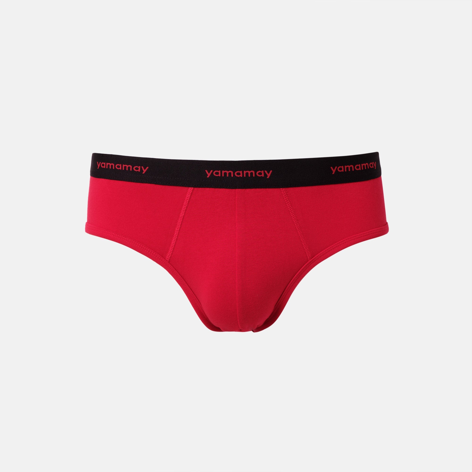 Briefs