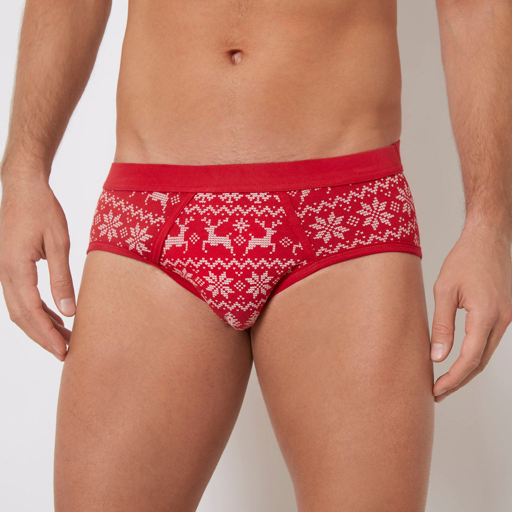 Briefs