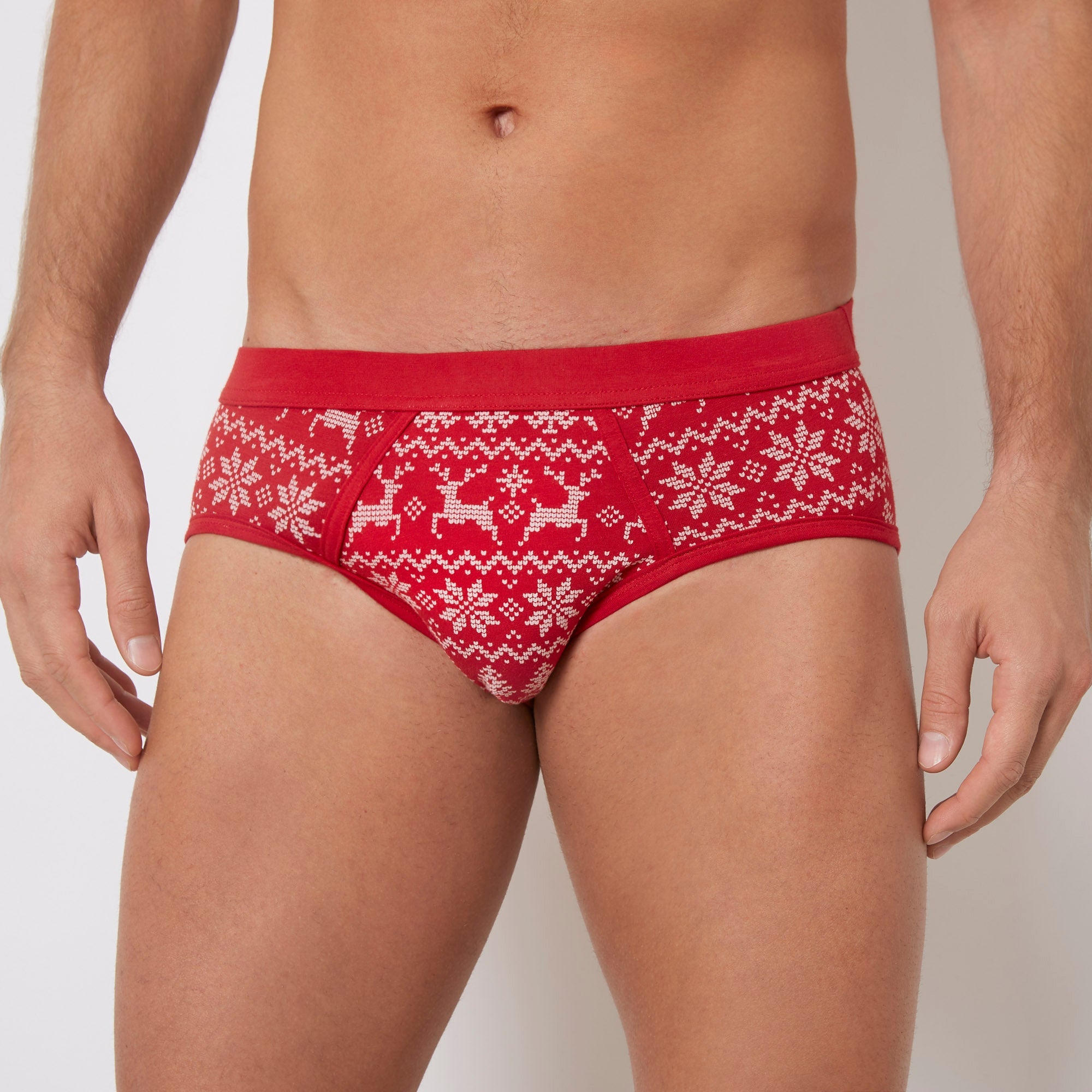 Briefs