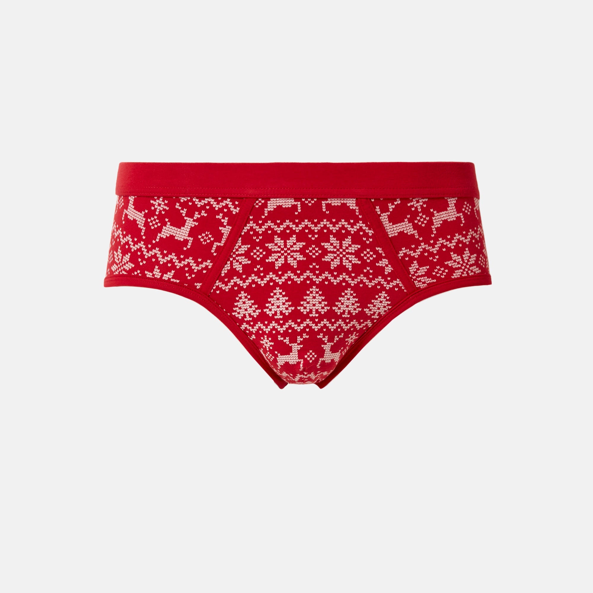Briefs