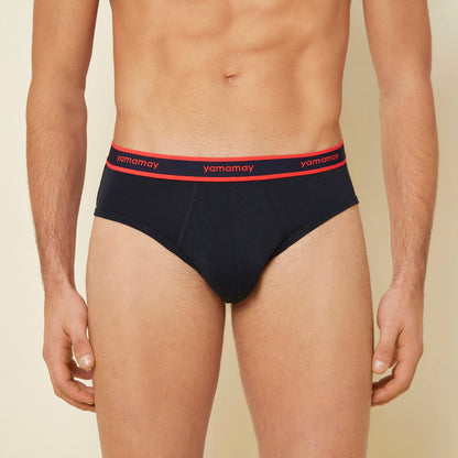 Briefs