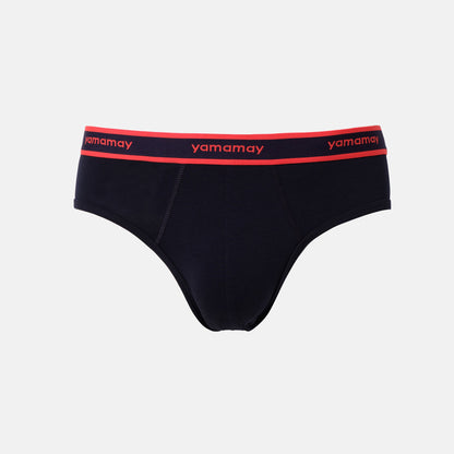 Briefs