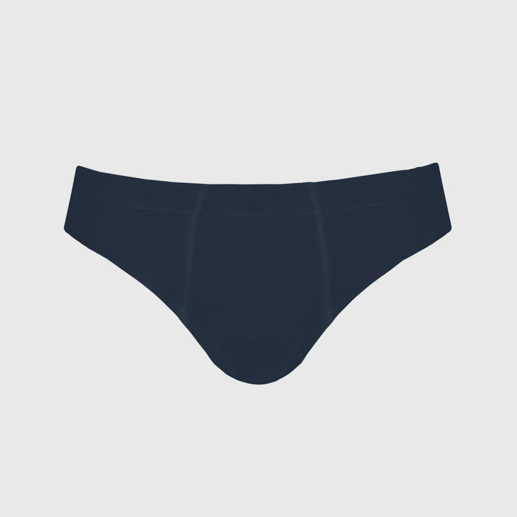 Briefs