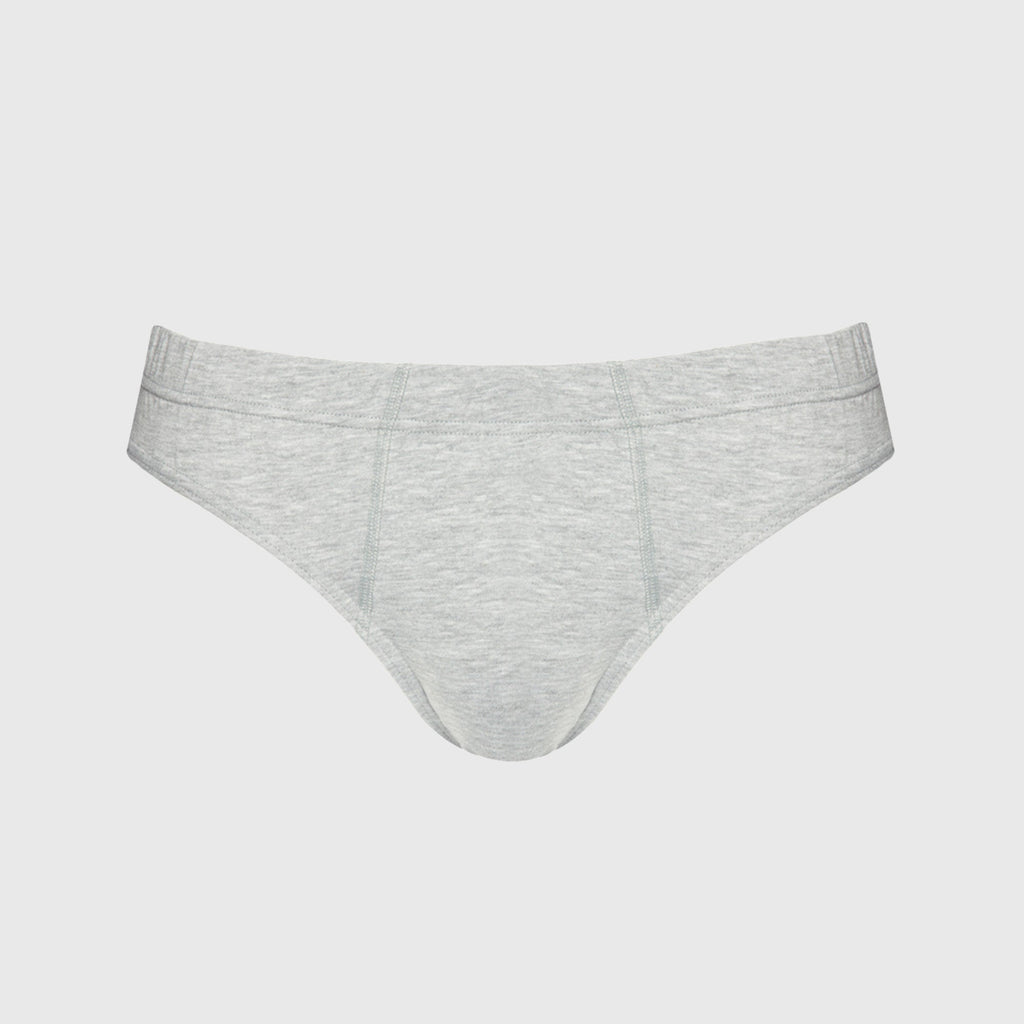Briefs