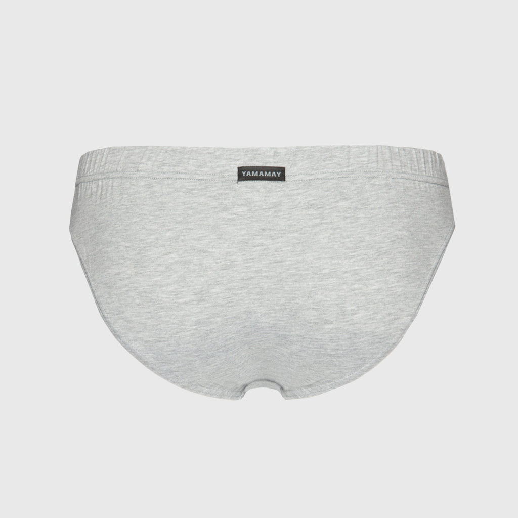 Briefs
